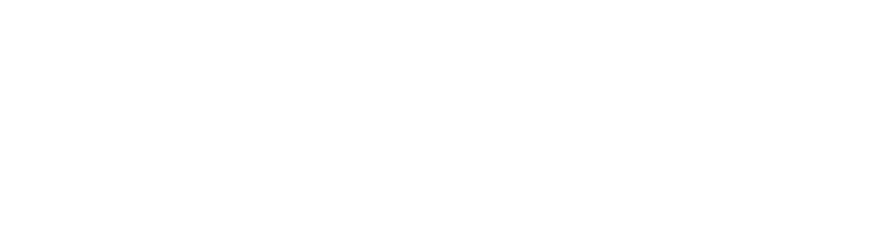 Logo site Danielle.branca.fw
