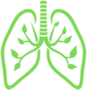 icone fisioterapia respiratoria.fw